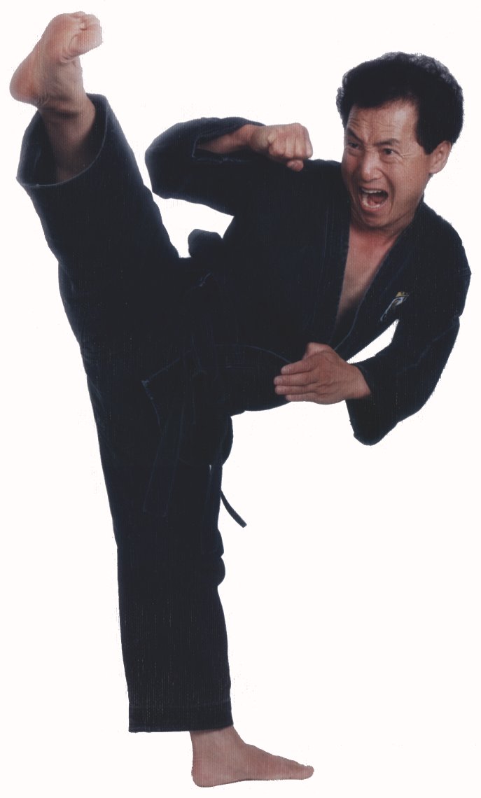 Grand Master Tae M. Kwon